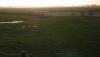 PIETERBUREN > Nordwestfriesland > Landschaft PIETERBUREN > Nordwestfriesland > Landschaft