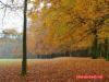 Herbst im Paleispark Apeldoorn 3