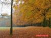 Herbst im Paleispark Apeldoorn 3