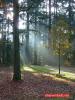Herbst im Paleispark Apeldoorn 5 Herbst im Paleispark Apeldoorn 5
