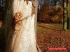 Herbst im Paleispark Apeldoorn 6