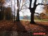 Herbst im Paleispark Apeldoorn 8 Herbst im Paleispark Apeldoorn 8
