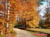 Herbst im Paleispark Apeldoorn