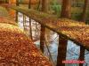 Herbst im Paleispark Apeldoorn 2