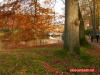 Herbst im Paleispark Apeldoorn 7