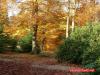 Herbst im Paleispark Apeldoorn 5