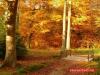 Herbst im Paleispark Apeldoorn 6