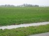 FRIESLAND > Weideland FRIESLAND > Weideland