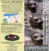 PIETERBUREN > Nordwestfriesland > Seehundstation > Info