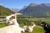 REIN in Taufers 6 REIN in Taufers 6