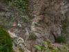 Alto Adige-Trentino>Bletterbachschlucht Alto Adige-Trentino>Bletterbachschlucht