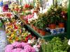 Bozen Bozen