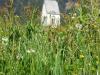 Panoramaweg Feldthurns-Garn-Verdings Panoramaweg Feldthurns-Garn-Verdings
