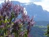 Panoramaweg Feldthurns-Garn-Verdings