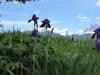 Panoramaweg Feldthurns-Garn-Verdings Panoramaweg Feldthurns-Garn-Verdings
