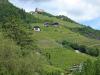 Bozen_1 Bozen_1