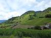 Bozen_1 Bozen_1