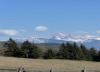 k-P1050056_1 k-P1050056_1