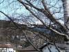 k-P1050156 k-P1050156