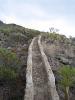 Teneriffa Roque Imoque 5 Teneriffa Roque Imoque 5