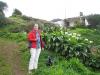 Teneriffa Wanderung Taborno 4 Teneriffa Wanderung Taborno 4