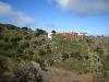 Teneriffa Teno Gebirge 8 Teneriffa Teno Gebirge 8