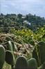 Spanien>Andalusienrundreise Spanien>Andalusienrundreise
