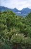 Spanien>Andalusienrundreise Spanien>Andalusienrundreise