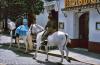 Spanien>Andalusienrundreise Spanien>Andalusienrundreise