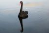 Spiegelbild Spiegelbild