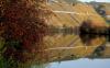 DEUTSCHLAND: NECKAR bei Mundelsheim > Herbst 2006 DEUTSCHLAND: NECKAR bei Mundelsheim > Herbst 2006