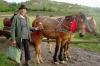 MARAMURES > Stolzer Landwirt mit seinen Pferden