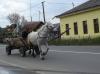 Borsa > Fahrt ins Gebirge