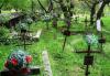 Surdesti > Friedhof Surdesti > Friedhof