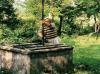 Surdesti > Besuch Surdesti > Besuch