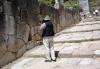 Delphi > Ausgrabungen