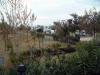 CIRELLA > Camping Ulisse 2 CIRELLA > Camping Ulisse 2
