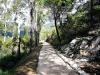 Bacina-See Bacina-See