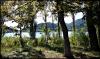 Bacinska Jezero 8 Bacinska Jezero 8