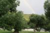 Peljesac > Prapratno > nach dem Regen Peljesac > Prapratno > nach dem Regen