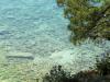 Dalmatien , eine kleine Entdeckungsreise 7 Dalmatien , eine kleine Entdeckungsreise 7