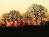 k-Sonnenuntergang1 k-Sonnenuntergang1