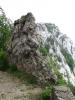 KARLOBAG > Nationalpark Velebit > Safari 5 KARLOBAG > Nationalpark Velebit > Safari 5