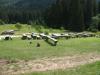 KARLOBAG > Nationalpark Velebit > Safari 2 KARLOBAG > Nationalpark Velebit > Safari 2