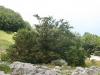 KARLOBAG > Nationalpark Velebit > Safari 3 KARLOBAG > Nationalpark Velebit > Safari 3