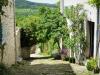 Parenzana/ Motovun Parenzana/ Motovun