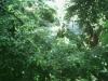 TIERGARTEN > 2 TIERGARTEN > 2