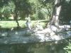 TIERGARTEN > 7 TIERGARTEN > 7
