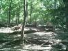 TIERGARTEN > 5 TIERGARTEN > 5
