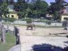 ZOO